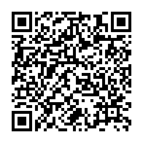 2024年HOMELIFE国际家居礼品展展期正式发布！蓄势待发共拓全球家居礼品市场！(图15)