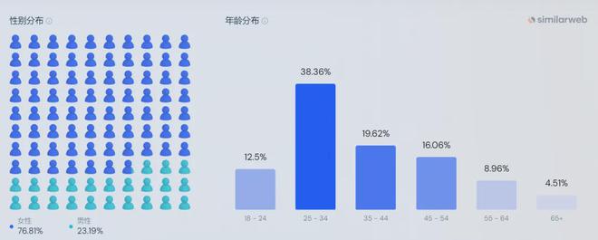 一年营收超5亿美元的独立站竟卖这么小众的服装(图4)