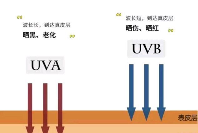 面料江湖上谁没两把刷子(图25)