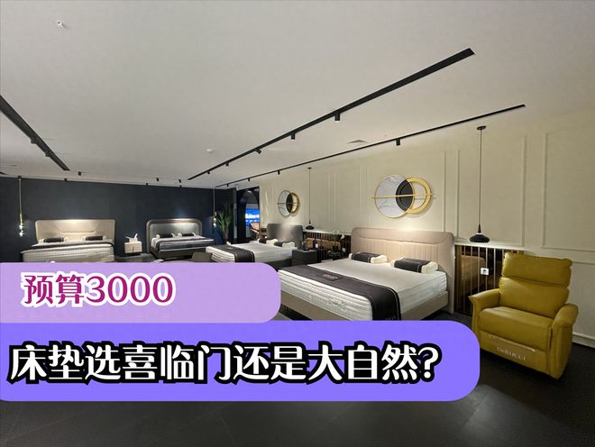 预算3千床垫选喜临门还是大自然好？3个方面对比结果一目了然(图1)