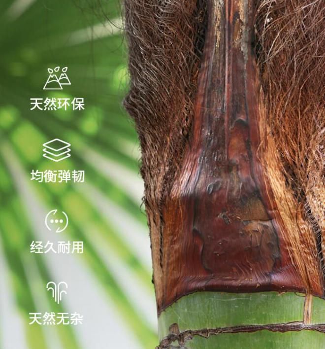 预算3千床垫选喜临门还是大自然好？3个方面对比结果一目了然(图5)