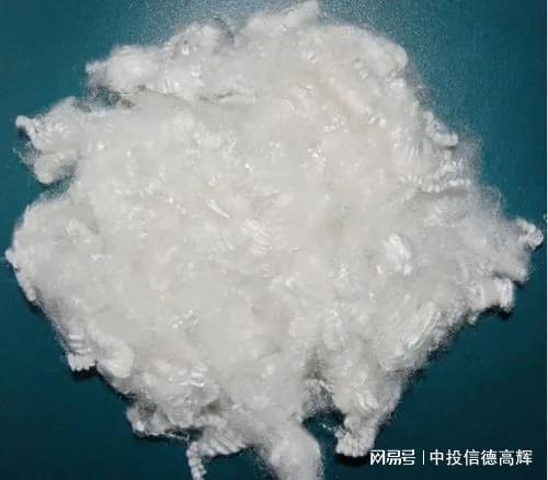 差别化涤纶短纤维项目可行性研究报告(图1)