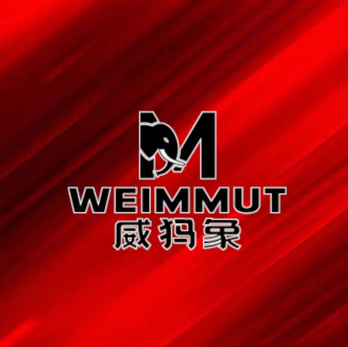 WEMMUT威玛象：国货之光引领国内户外冲锋衣新风尚(图1)