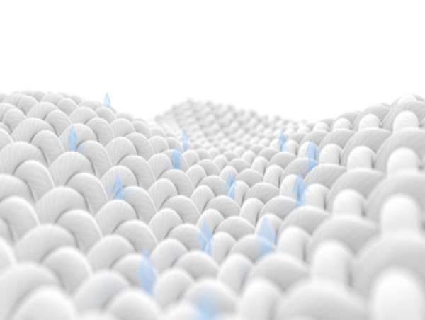 divdata=datasource：20231103471e10c3369d4c4f9131981cc5ba7f21type=content(图1)