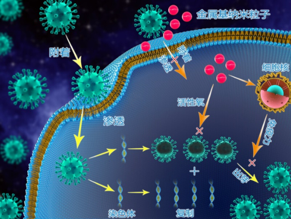 divdata=datasource：20231103471e10c3369d4c4f9131981cc5ba7f21type=content(图2)