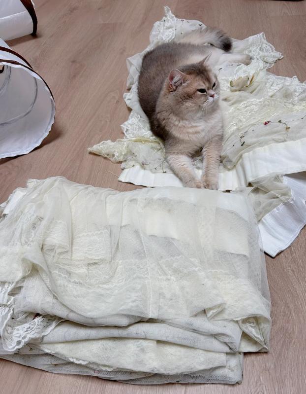 老话说“搬家四不带日子长安宁”很多人不懂难怪日子过不好(图18)