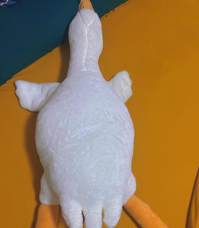 老话说“搬家四不带日子长安宁”很多人不懂难怪日子过不好(图9)