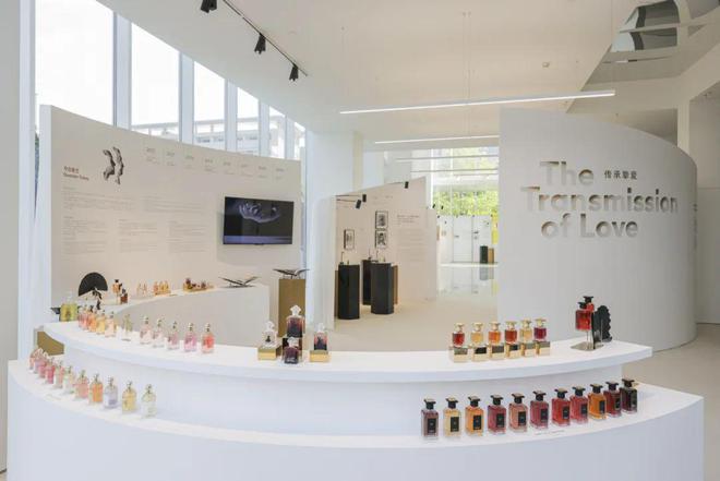 “伊”手快报不断探索奏响秋日多元交织新旋律(图5)