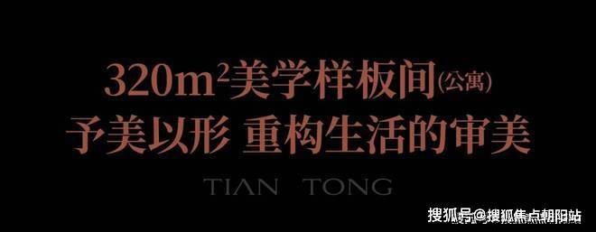 『新湖•天潼里198』2024网站-天潼里198详情-上海房天下(图4)