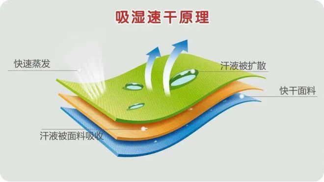 【纺织百科】吸湿≠排汗带你走出功能性面料的误区(图3)