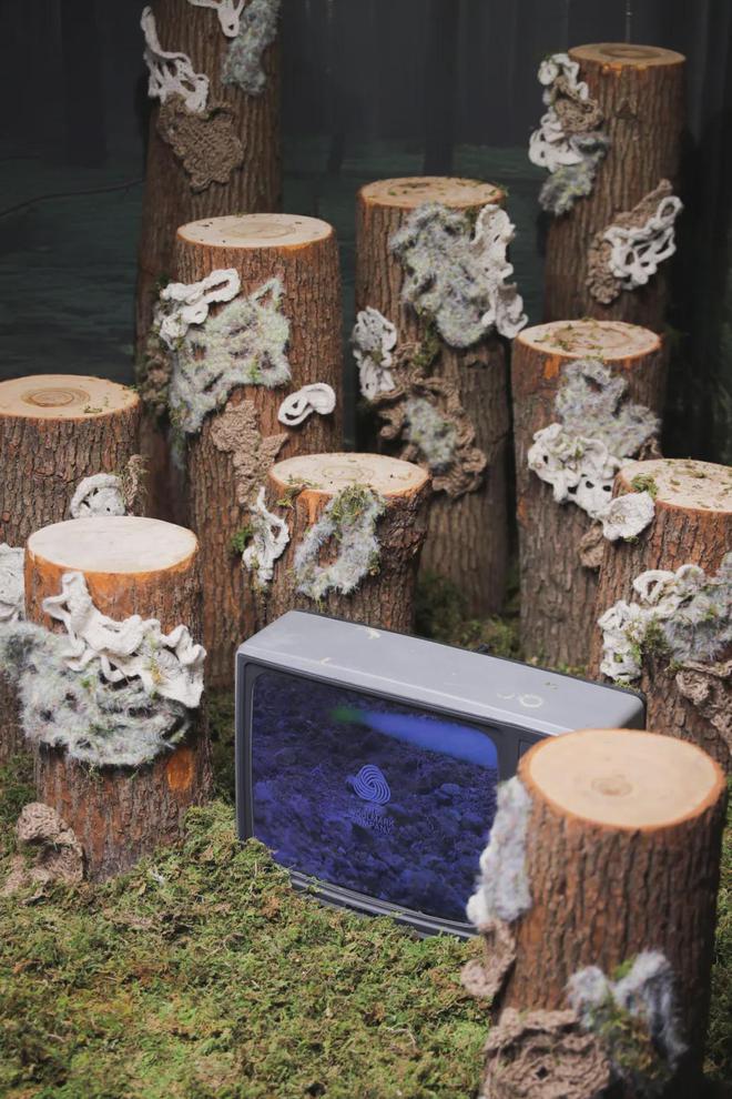 纯羊毛标志：六秩风华铸就羊毛臻品象征(图7)