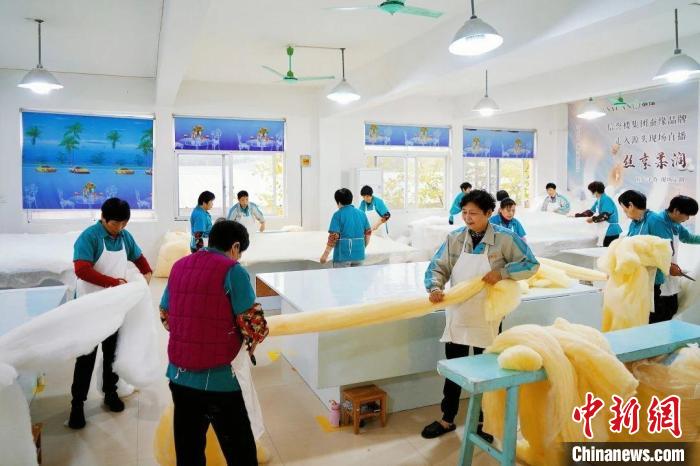 科技御寒成新潮浙江“桑蚕之乡”何以焕发新光热？(图1)