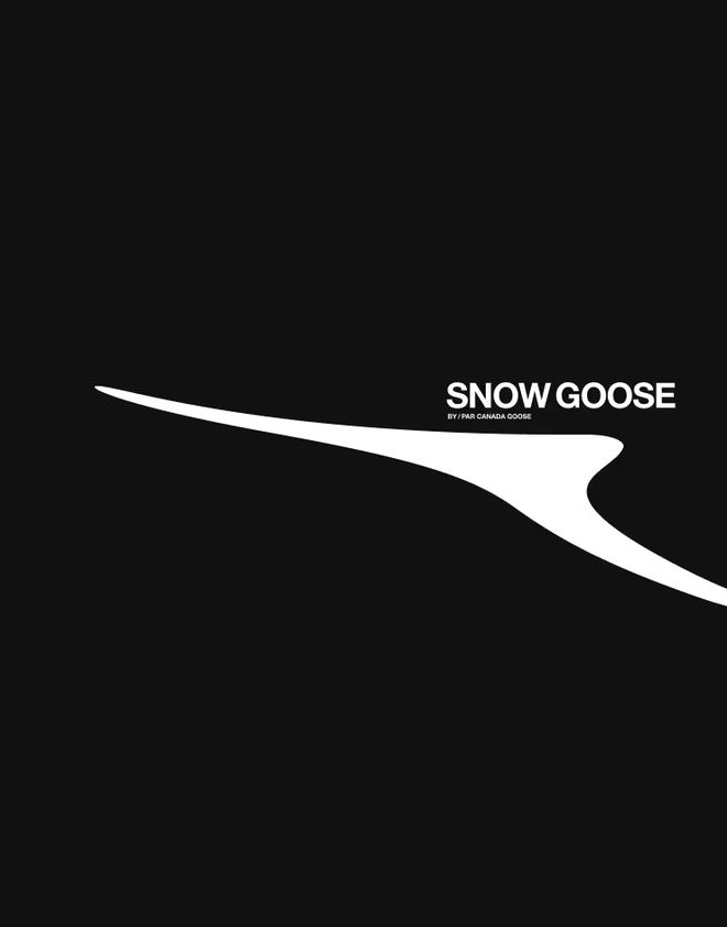为何说重塑经典的“SnowGoose”是HaiderAckermann的诚意之作？(图2)