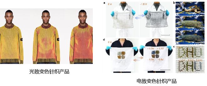 智能面料革新生活：从健康监测到宠物时装功能超乎想象(图3)