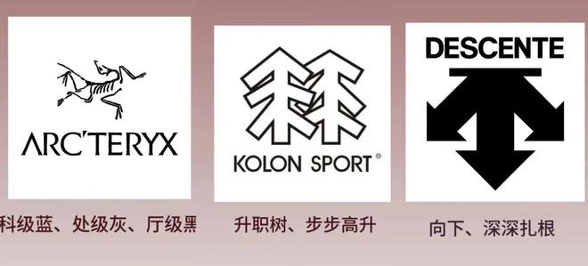 一只鸟两棵树三条路中产被安踏包围了(图2)