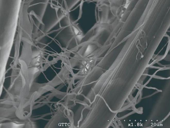 年终特辑丨魏桥：扎根产业沃土大胆创新突破纺织技术边界(图4)