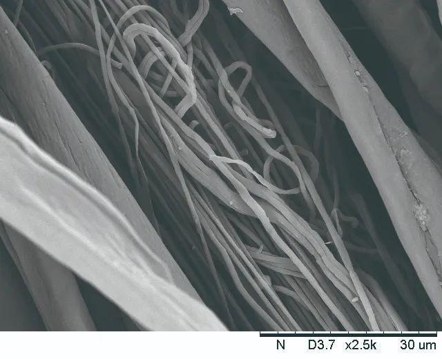 年终特辑丨魏桥：扎根产业沃土大胆创新突破纺织技术边界(图3)