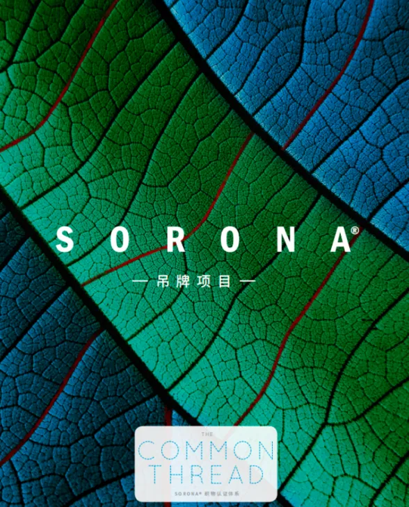 品牌速递积极捍卫品牌权益SORONA在行动！(图3)