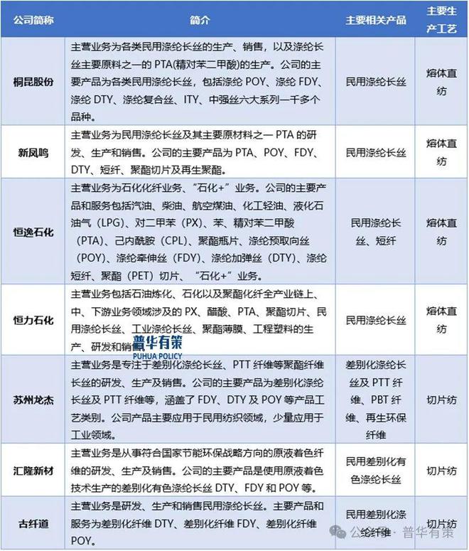 2025-2031年涤纶长丝行业深度调研及投资前景预测报告(图6)