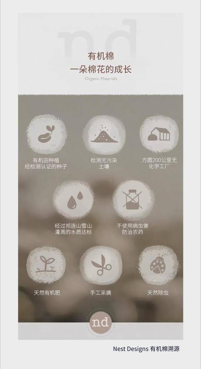 NestDesigns：从功能刚需到生活美学的母婴产品进化启示录(图7)
