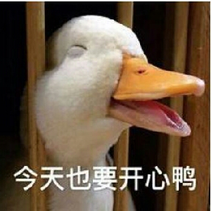 关于衣服面料的图标标志(图1)