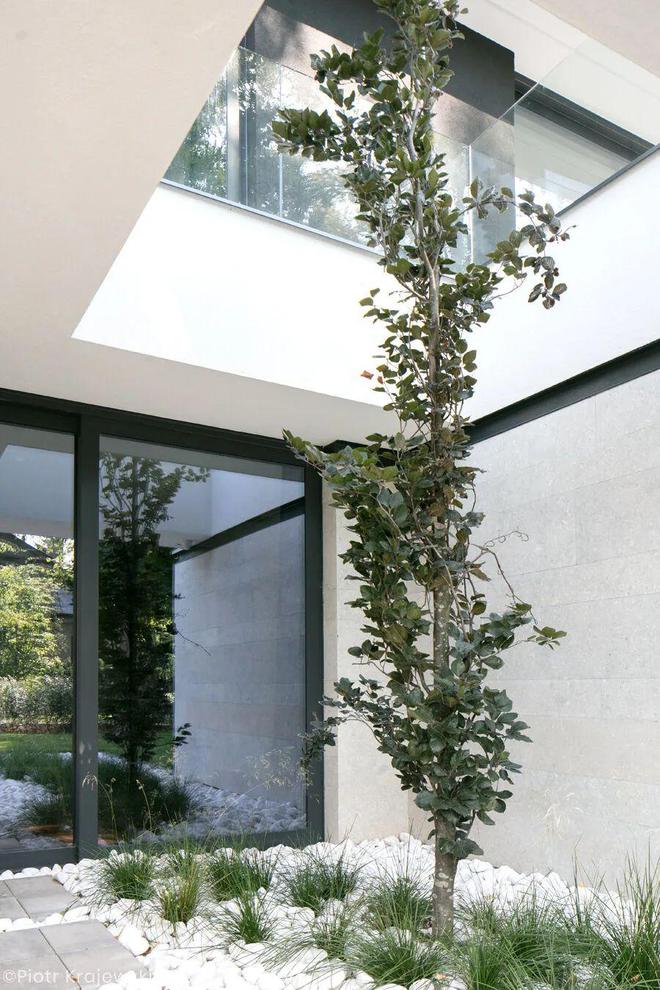 LONGHOUSE：狭长地块上的现代美学之居(图8)