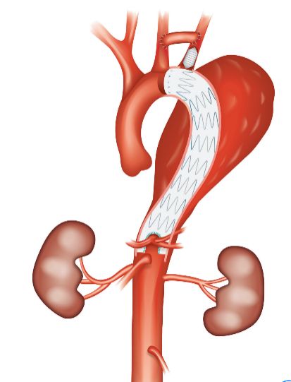 硬核！东华多项科技创新成果亮相工博会(图8)