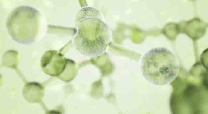 青岛崂山：生物黑科技新型面料能驱蚊(图2)