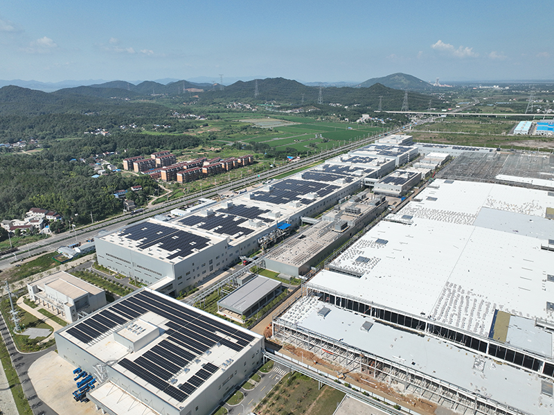 安徽向前｜铜陵枞阳：“小雨布”撑起“大天地”(图1)