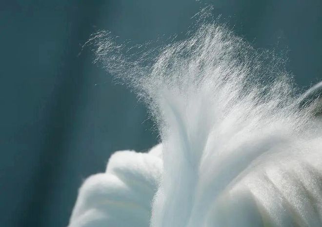 听劝夏天别再穿这种袜子了！(图4)