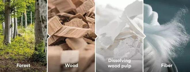 听劝夏天别再穿这种袜子了！(图7)